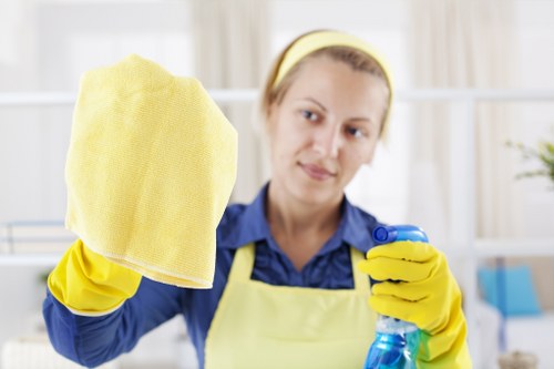 Deep cleaning service for a Harrow kitchen with detailed surface care