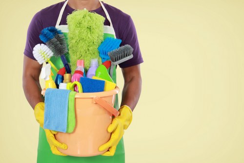 Pet stain and odour treatment in a Harrow home