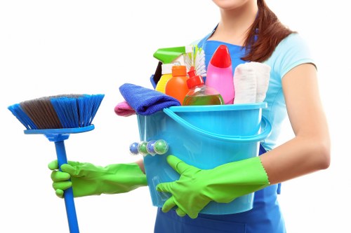 Cleaner estimating carpet cleaning work for a busy Harrow flat