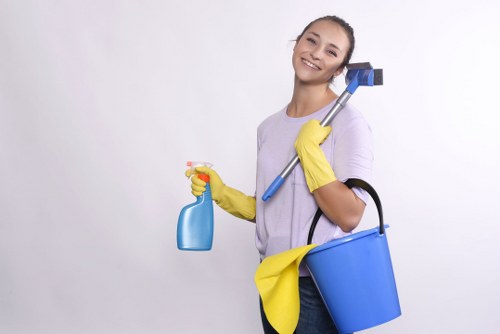 Careful carpet cleaning service in Harrow focused on fabric protection