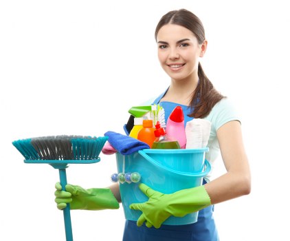 Odour removal service for pet accidents on upholstery
