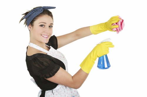 Local cleaner maintaining a flat in Harrow with recurring visits