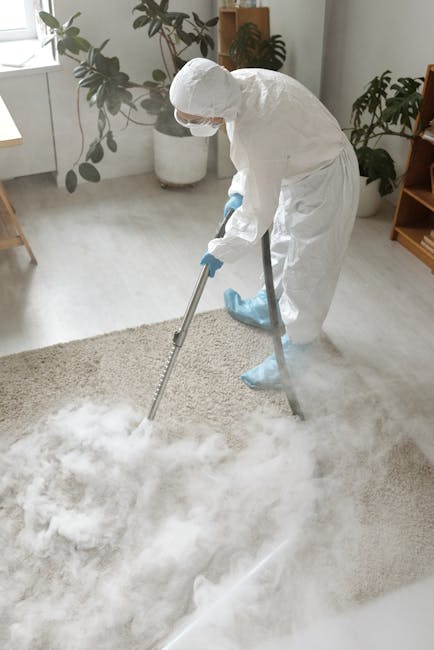 A person dressed in full protective white suit, including gloves, mask, and shoe covers, is performing surface cleaning or deep cleaning on a plush, beige carpet in a well-lit living room. The individual is using a steam-cleaning tool connected to a system that appears to release steam or cleaning solution, indicating thorough sanitisation and hygienic maintenance. The room features natural light from large windows, with potted plants on the windowsill and a wooden bookshelf in the background that adds warmth to the space. The carpet looks fresh and clean, and the overall environment is tidy and bright. This scene exemplifies professional domestic cleaning by Carpet Cleaners Harrow, focusing on precise surface cleaning and sanitisation of residential floors.