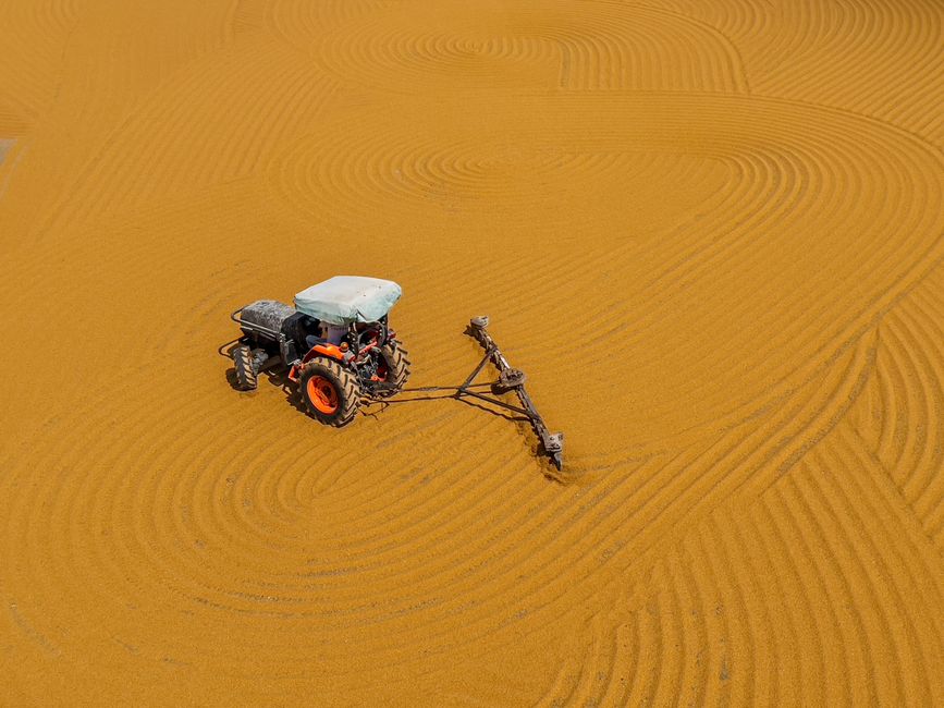 An aerial view of a large, orange-colored surface being irrigated by a tractor equipped with a sprayer attachment. The surface appears to be a field with evenly spaced, curved furrows, indicating recent deep cleaning or surface preparation. The tractor is positioned centrally in the image, with the sprayer dispersing liquid across the textured surface. Bright, natural lighting highlights the vivid color of the field, and the overall scene exemplifies agricultural surface cleaning and maintenance. This image complements the services offered by Carpet Cleaners Harrow, emphasizing thorough surface cleaning and sanitisation in various environments.